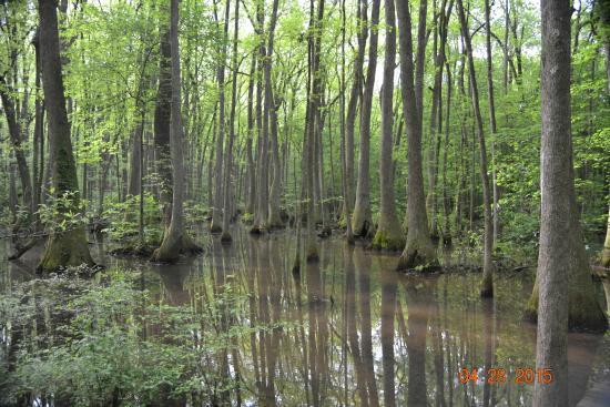 Wheeler Wildlife Refuge